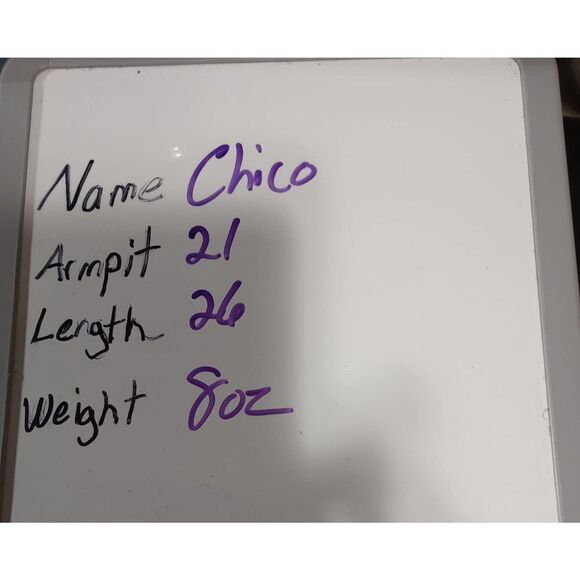 Chico Blouse‎ Ladies Large Chico's 2 - Picture 7 of 7